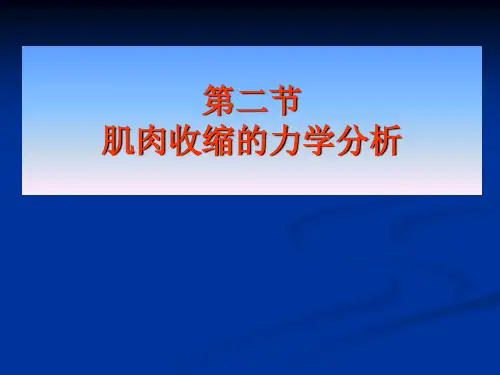 第二节肌肉收缩的力学分析