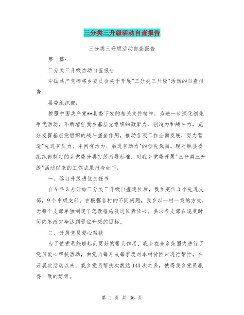 三分类三升级活动自查报告(完整版)