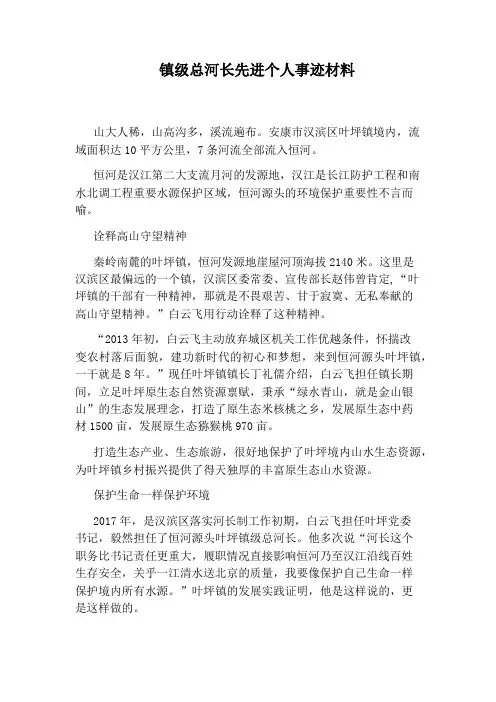 镇级总河长先进个人事迹材料