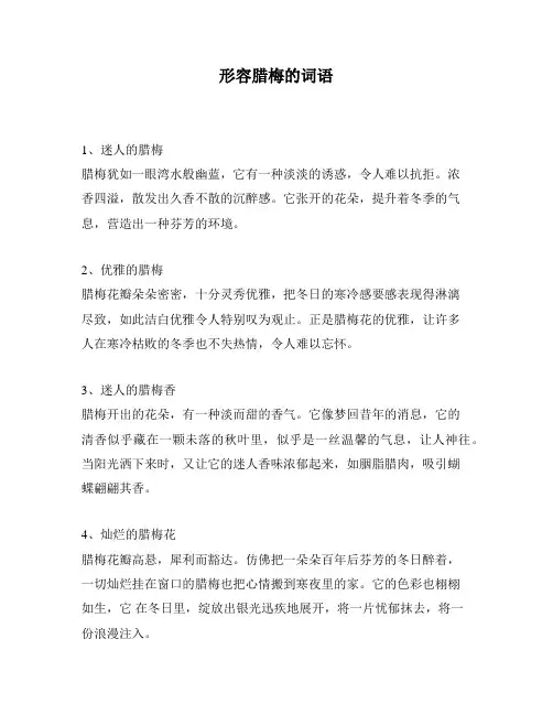 形容腊梅的词语