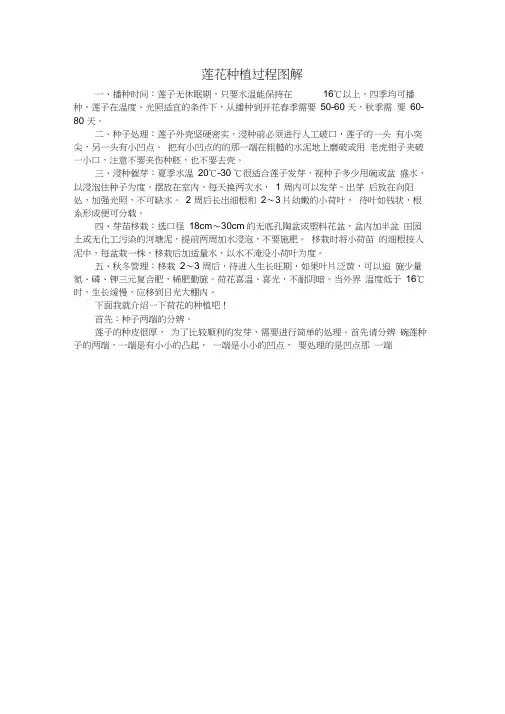 莲花种植过程图解