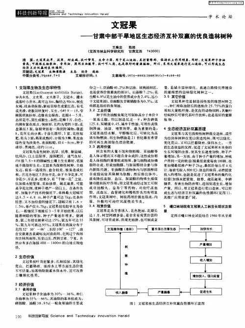 文冠果——甘肃中部干旱地区生态经济互补双赢的优良造林树种