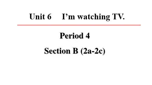 Unit 6 I'm watching TV  Section B (2a-2c)课件
