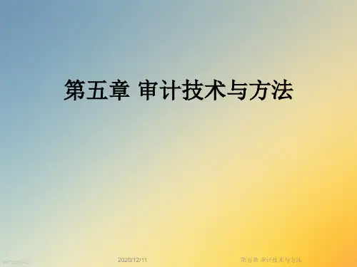 第五章 审计技术与方法