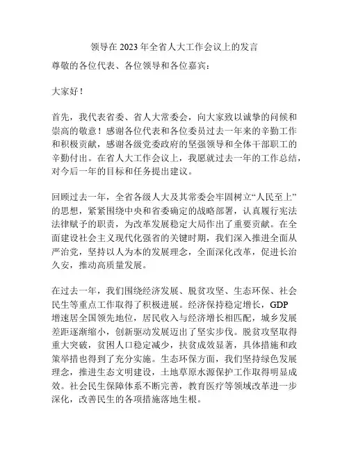 领导在2023年全省人大工作会议上的发言