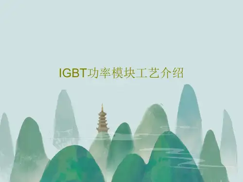 IGBT功率模块工艺介绍共37页PPT