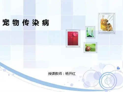 第一、二章 宠物传染病的发生及防疫  幻灯片