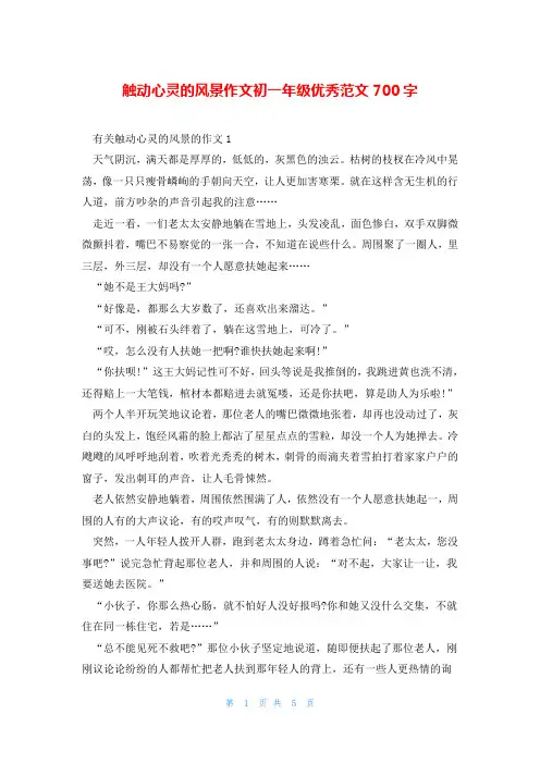 触动心灵的风景作文初一年级优秀范文700字