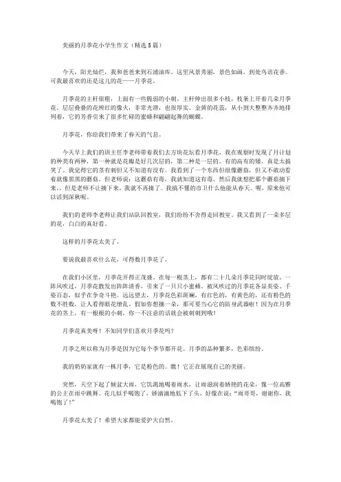 美丽的月季花小学生作文(精选5篇)(最新)