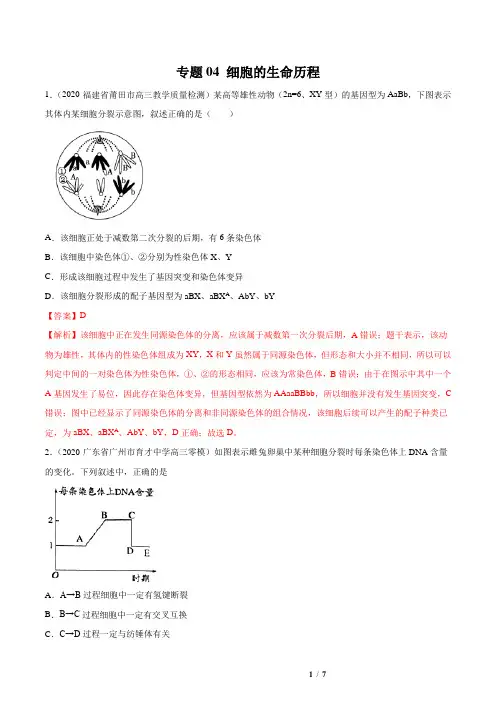 2020届高三生物3-4月模拟试题汇编专题04 细胞的生命历程(解析版)