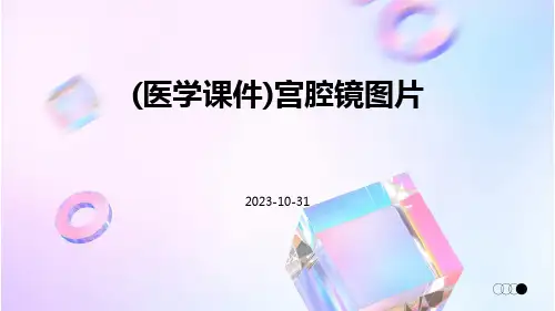 (医学课件)宫腔镜图片