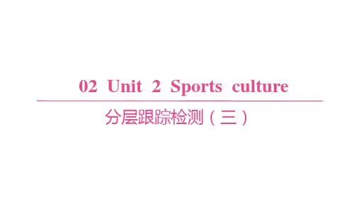 译林版高中英语学案选择性必修第二册精品课件 Unit 2 分层跟踪检测(三)