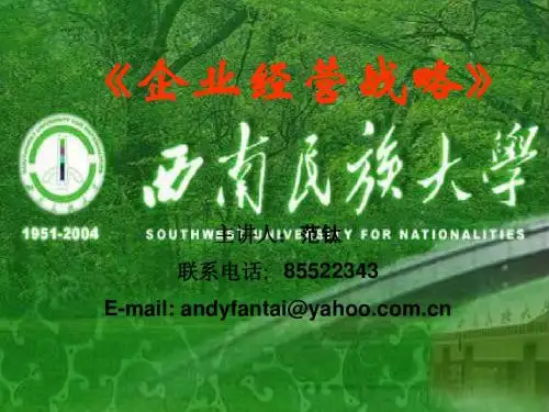 企业战略价值