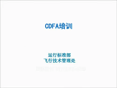 CDFA实用课程培训PPT(43张)