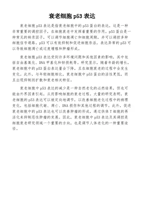 衰老细胞p53表达