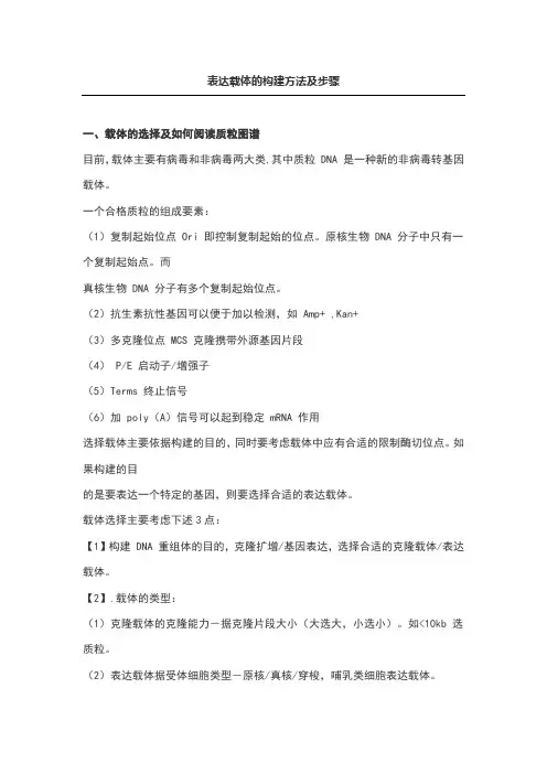表达载体的构建方法及步骤