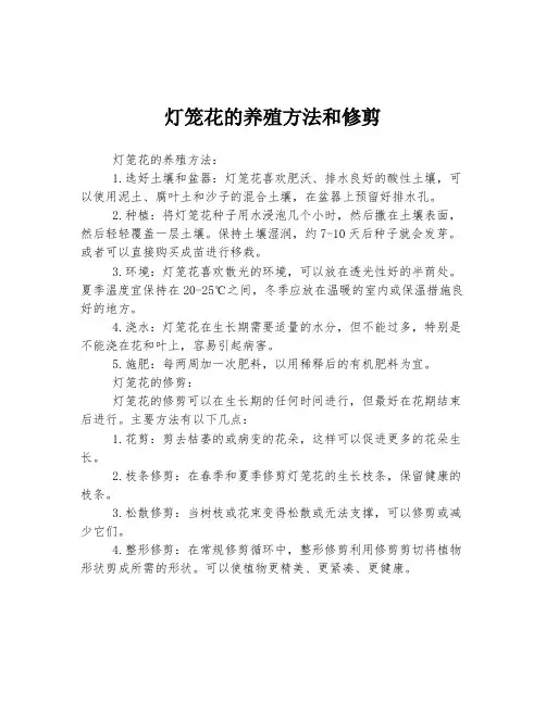 灯笼花的养殖方法和修剪