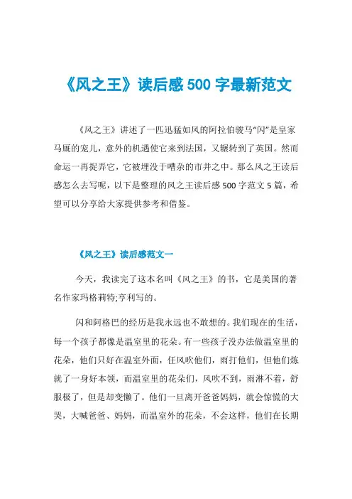 《风之王》读后感500字最新范文