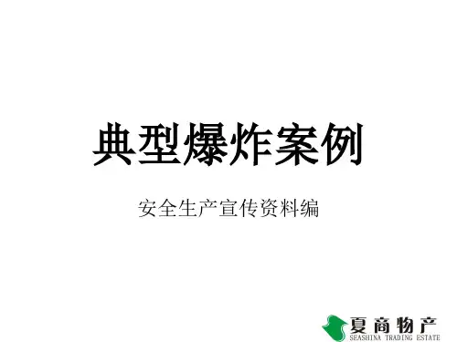 典型爆炸案例--图