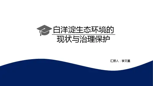 白洋淀生态环境的现状与治理保护