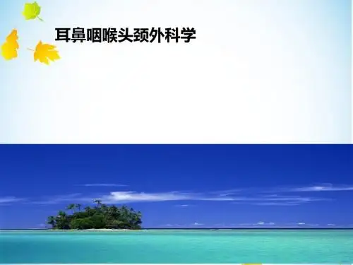 鼻的解剖与生理课件