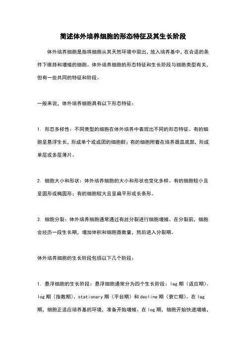 简述体外培养细胞的形态特征及其生长阶段