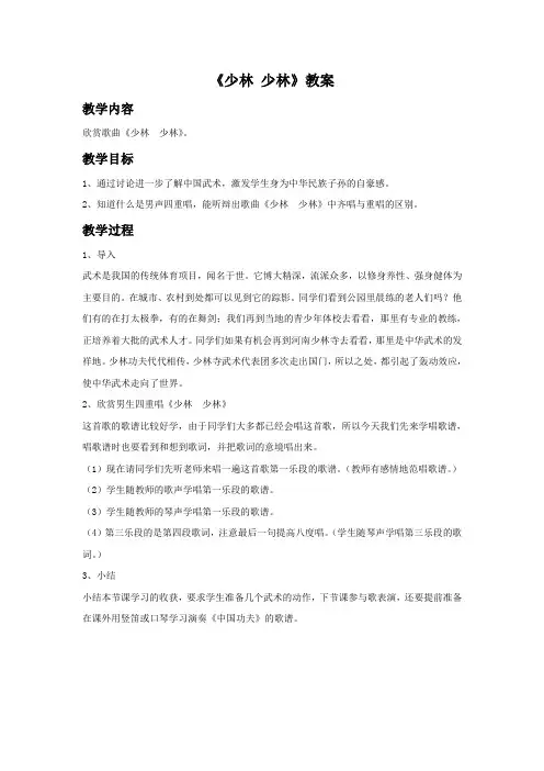 《少林 少林》教案3
