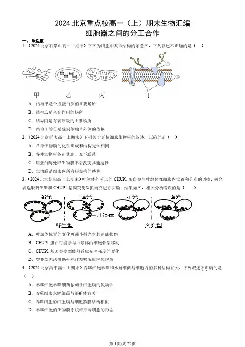 2024北京重点校高一(上)期末生物汇编：细胞器之间的分工合作