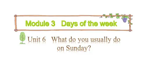四年级下册英语Module 3  Days of the week Unit 6  What do you usually do on Sunday第二课时教科版