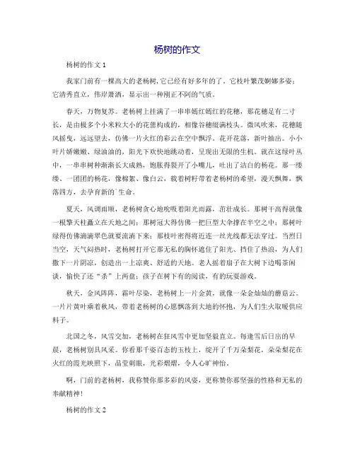 杨树的作文