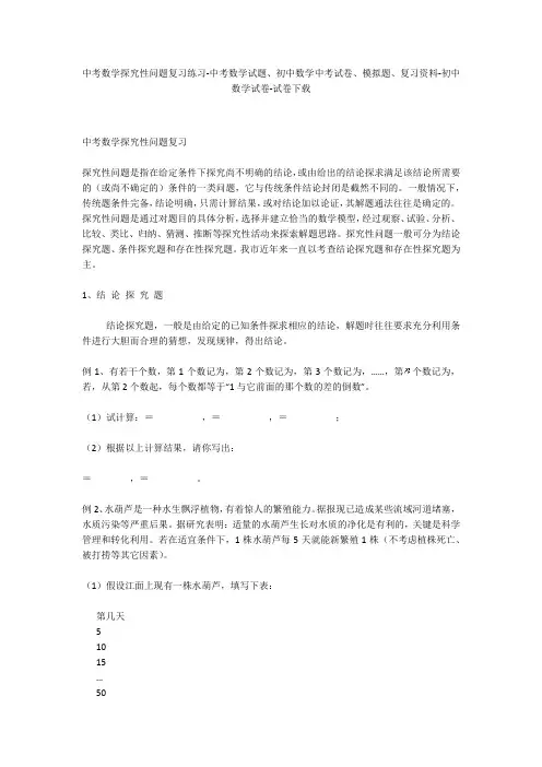 中考数学探究性问题复习练习-中考数学试题、初中数学中考试卷、模拟题-初中数学试卷