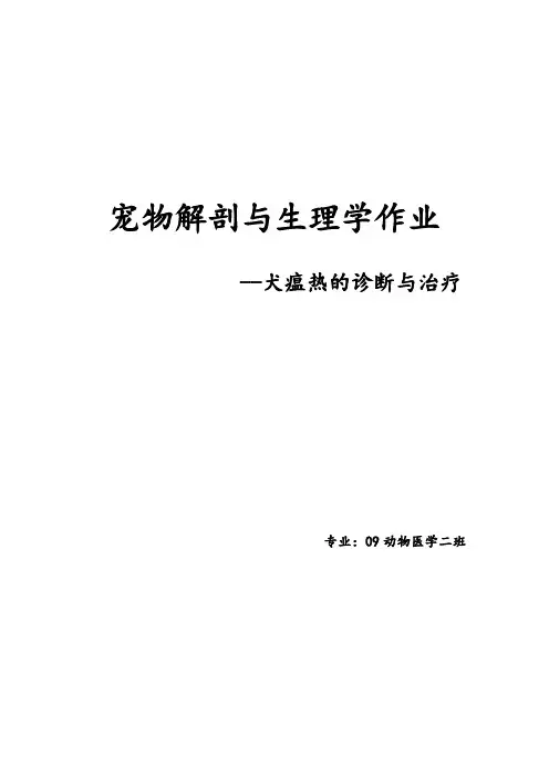 犬瘟热的诊断与治疗 2