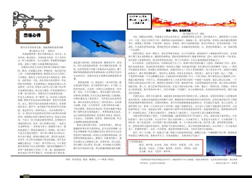 新任教师岗位培训简报