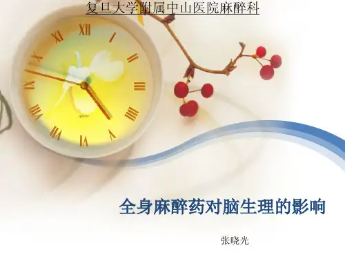 全身麻醉药对脑生理的影响