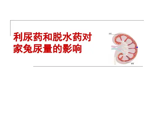 利尿药实验(赖)