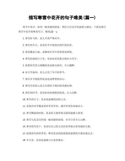 描写寒雪中花开的句子唯美(精选2篇)