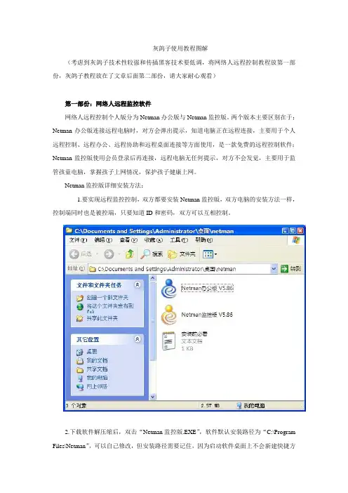 灰鸽子使用教程图解