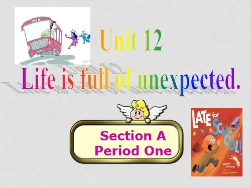 九年级英语全册 Unit 12 Life is full of unexoected Section A1课件 (新版)人教新目标版