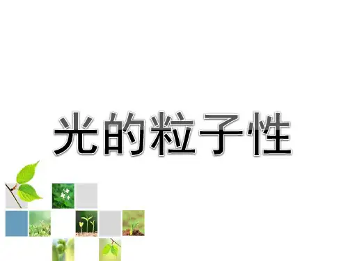 高中物理光的粒子性ppt