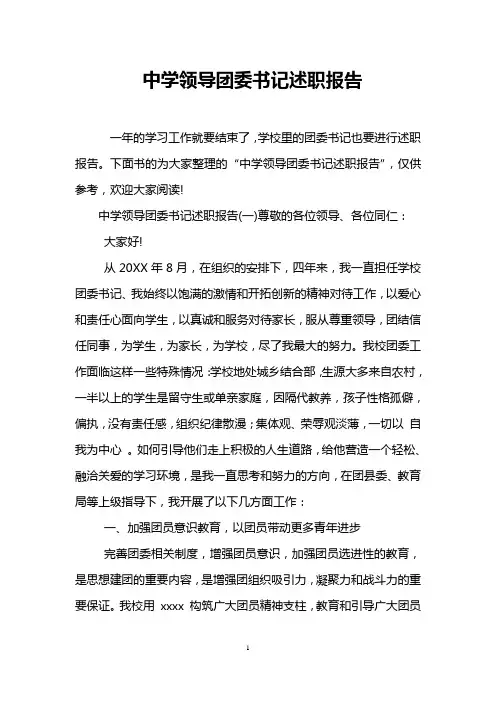 中学领导团委书记述职报告