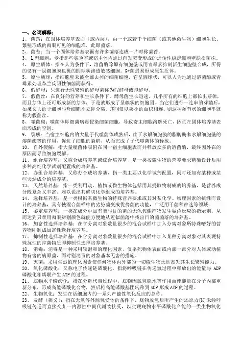 微生物整理