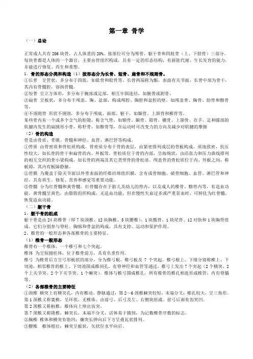 系统解剖学知识点完整版  考前突击   法宝