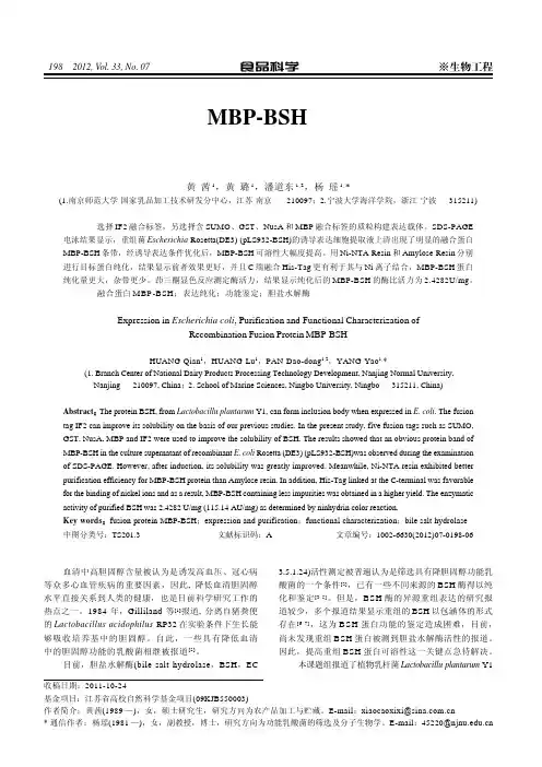 重组融合蛋白MBP-BSH在大肠杆菌中的表达及其纯化、功能鉴定