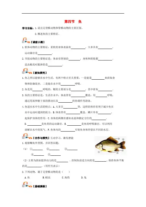 八年级生物上册 5.1.4 鱼导学案(无答案)(新版)新人教版
