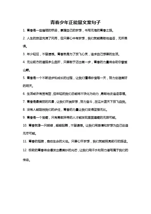 青春少年正能量文案句子