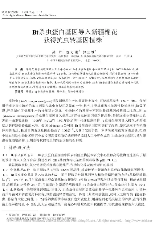 Bt杀虫蛋白基因导入新疆棉花获得抗虫转基因植株