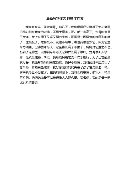 最新写物作文300字作文