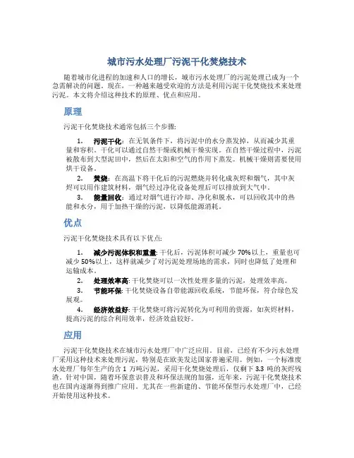 城市污水处理厂污泥干化焚烧技术
