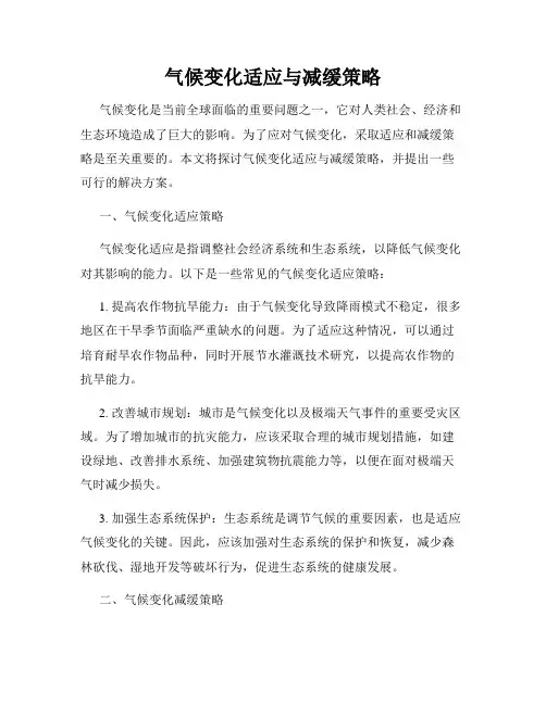 气候变化适应与减缓策略