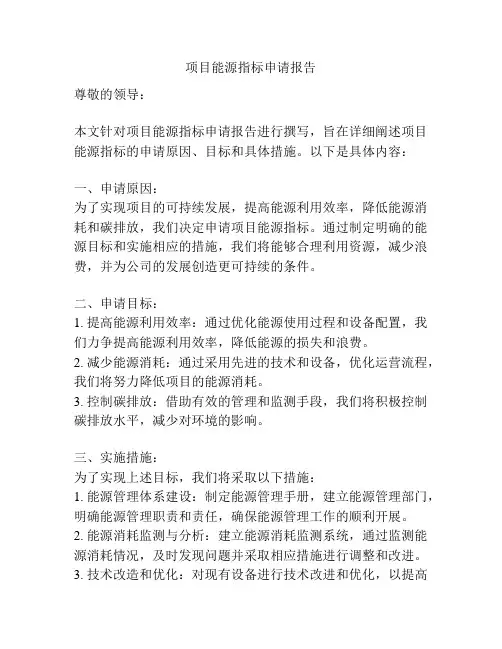 项目能源指标申请报告